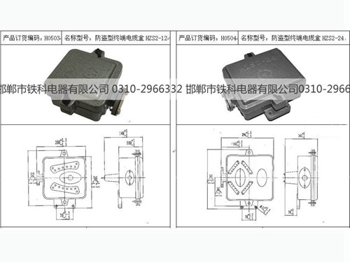 終端電纜盒HZS2-12